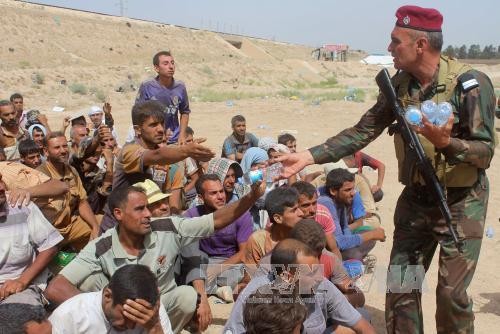 Iraks Armee richtet Sicherheitskorridor zur Evakuierung von Bewohnern aus Falludscha ein - ảnh 1